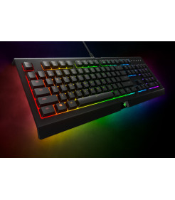 TECLADO GAMING RAZER CYNOSA LITE